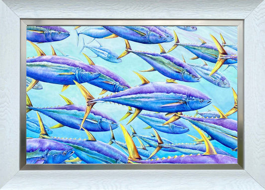 Framed Giclee print “Light Yellowfin Tuna”