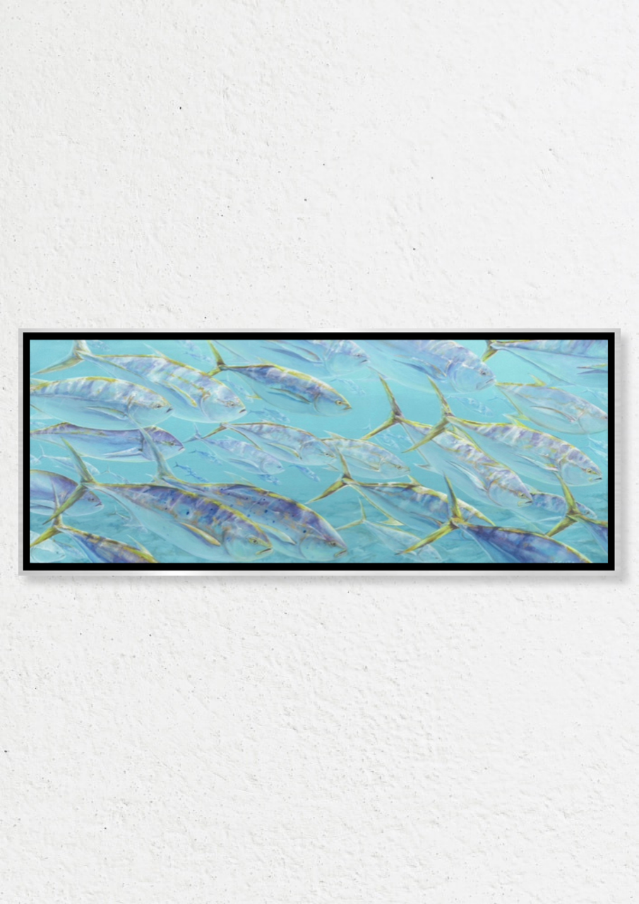 “Morning Tuna” 40x16 inches