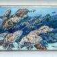 Framed Giclee print “Groupers”