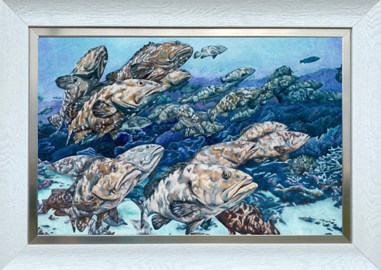 Framed Giclee print “Groupers”