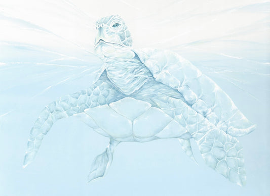 Framed Giclee print “Blue Turtle”